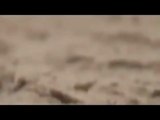 جمهور بالغ فيديو حزب في ال عري شاطئ